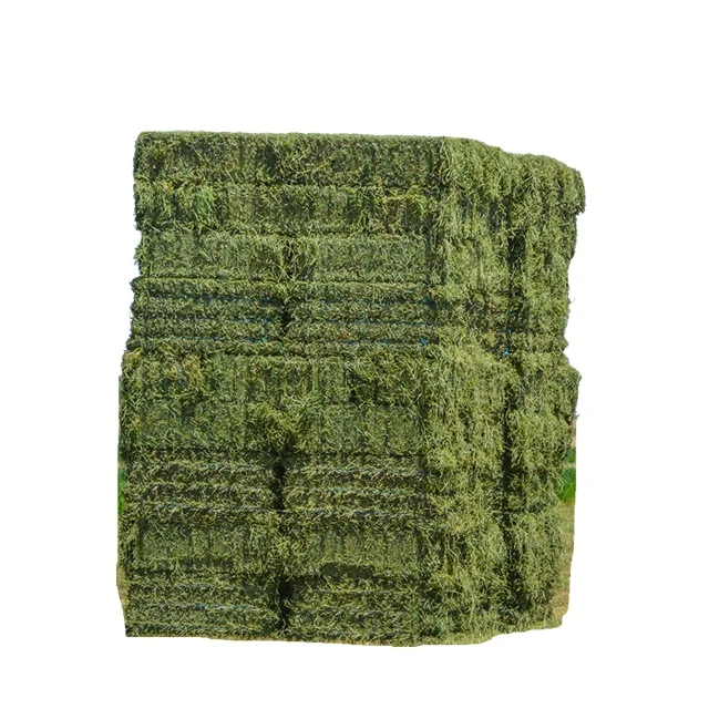 Ukrainian High Quality Alfalfa Hay Oats Hay Animal Feed for Sale