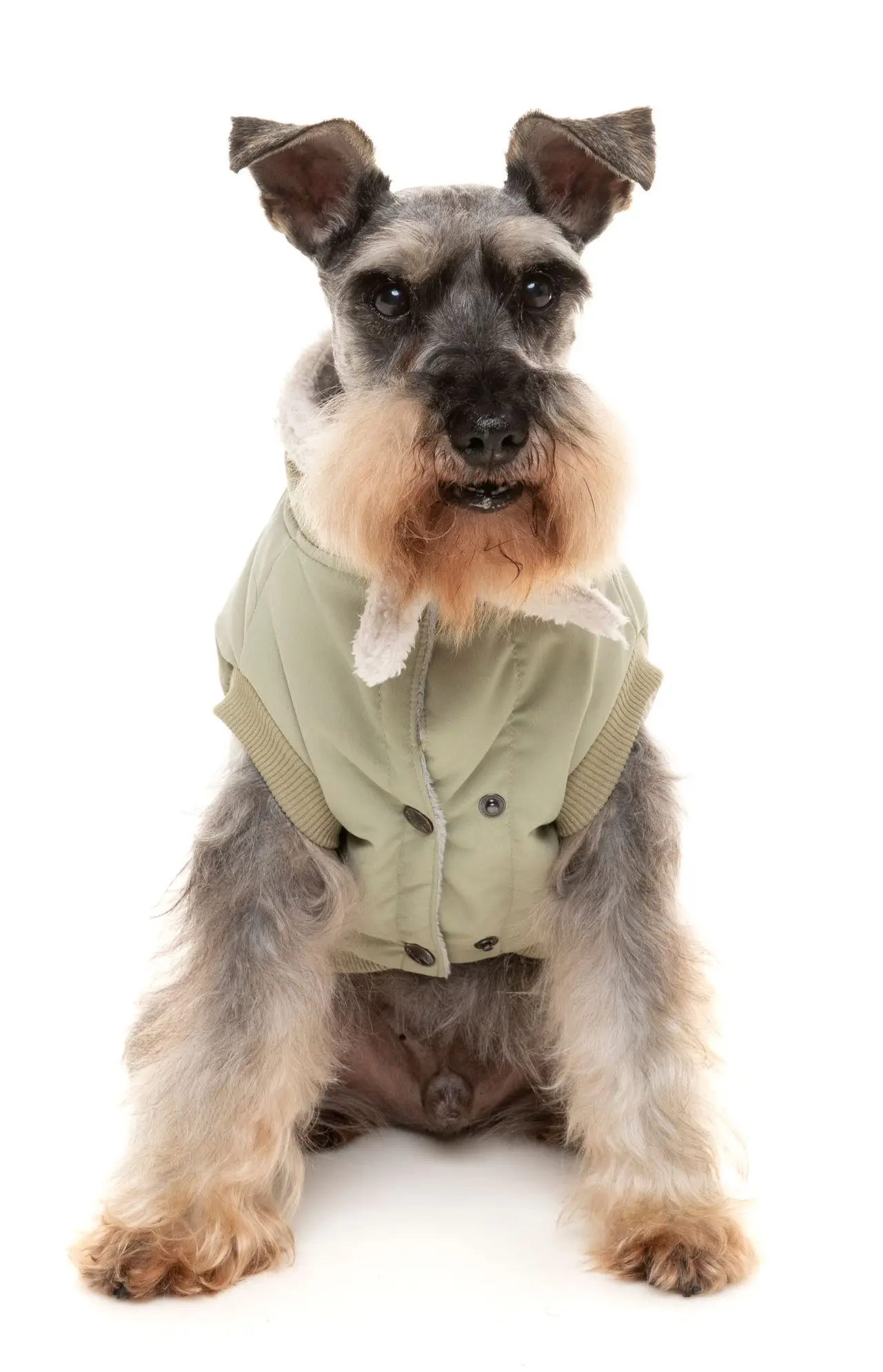 Light Khaki Nordic Bomber Comfortable Adventure Jacket Pet Clothes Recycled Pet Clothes for Dog
