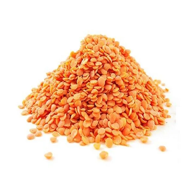 Canadian Green Lentils/ Red Lentils Wholesale / Red Split and Football Red type Red Lentils