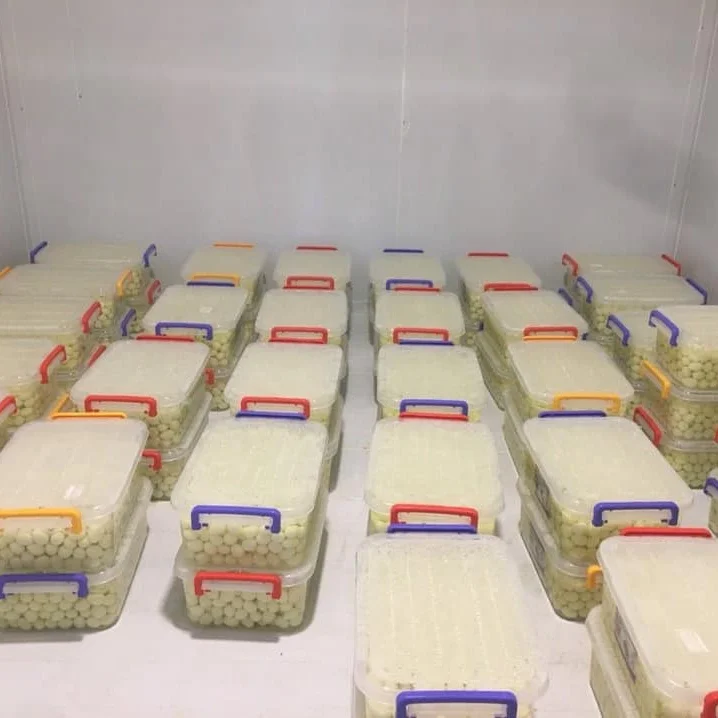 Замороженное перепелиное яйцо IQF для супа готовое к употреблению Жасмин/+