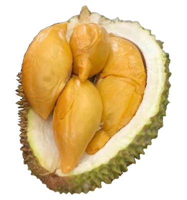 Whole Fruit Durian D13 Malaysia Farm Premium Packing Best Durian Top Quality Frozen Durian Fruits Low Price