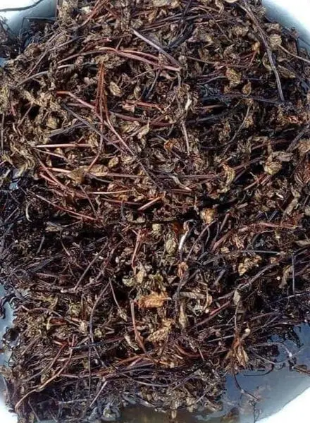 Сушеные Листья желе черной травы // сушеная мезлона китайская-Джесси + 84359443043