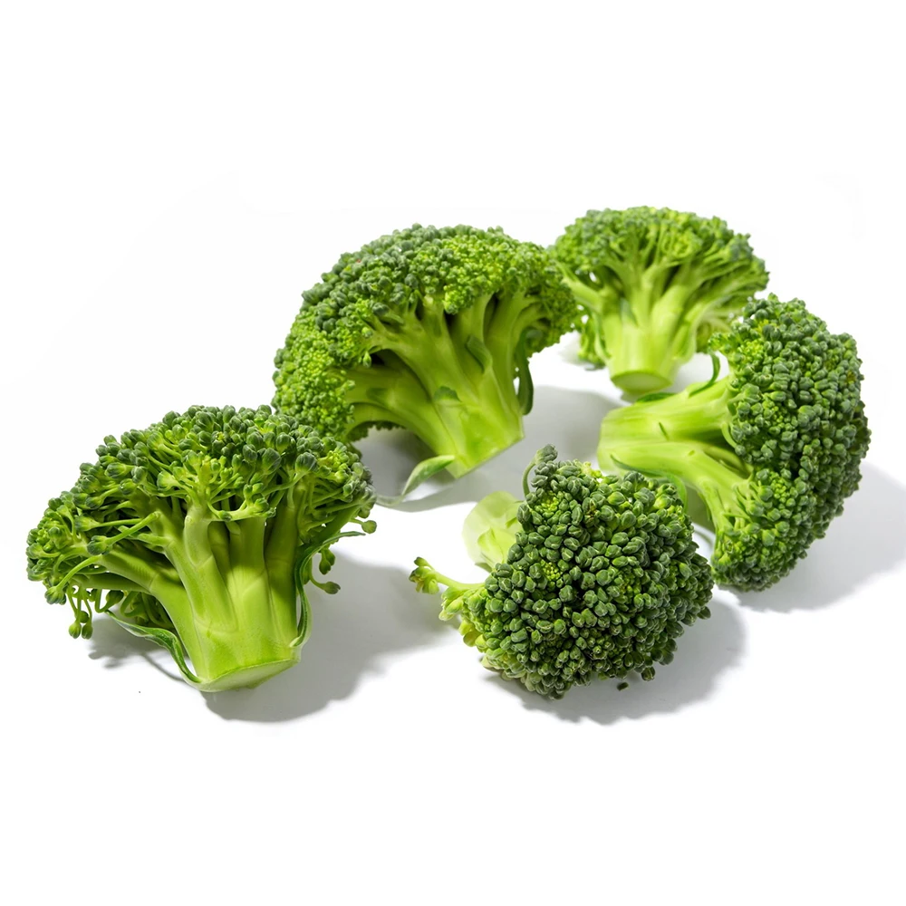Fresh Green  Broccoli of Farm Ready for Sale