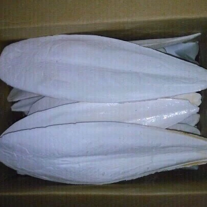 Высокое качество, Максимальная влажность 15%, Высококачественная косточка Для морской слепки