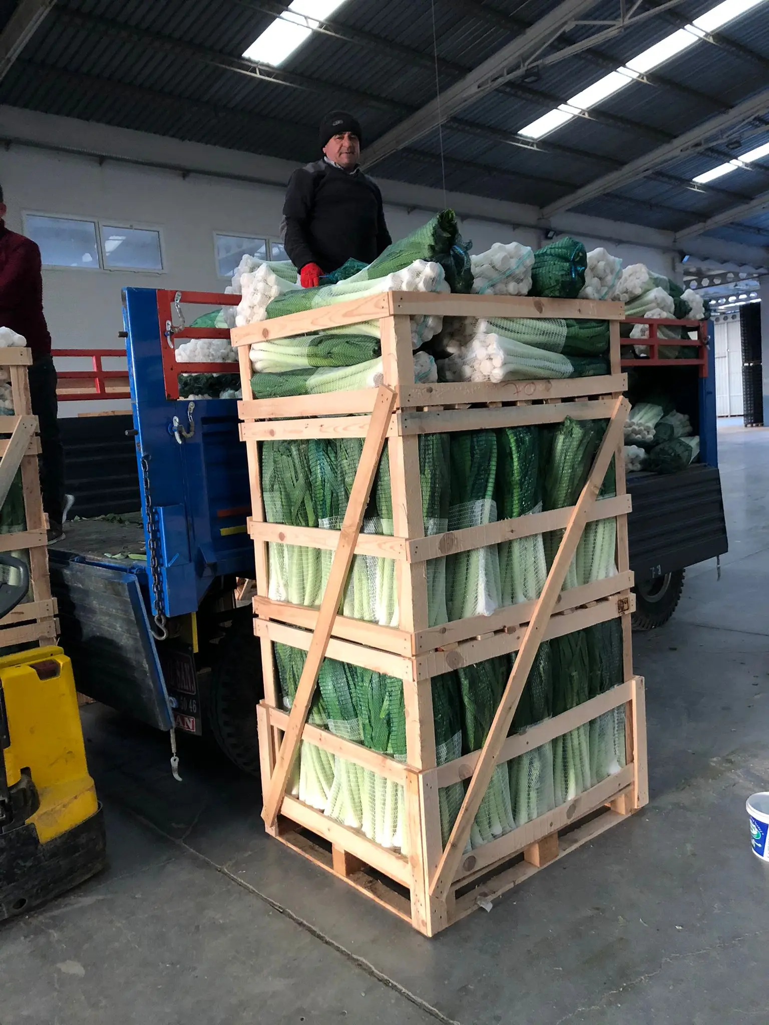 FRESH LEEKS FROM TURKEY WHOLESALE A GRADE READY TO EXPORT NEW CROP 2021