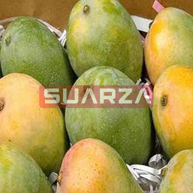 Suarza (PVT)  supplies Raw Mango, Green Mango from Pakistan/Fresh Delicious Mango exporter