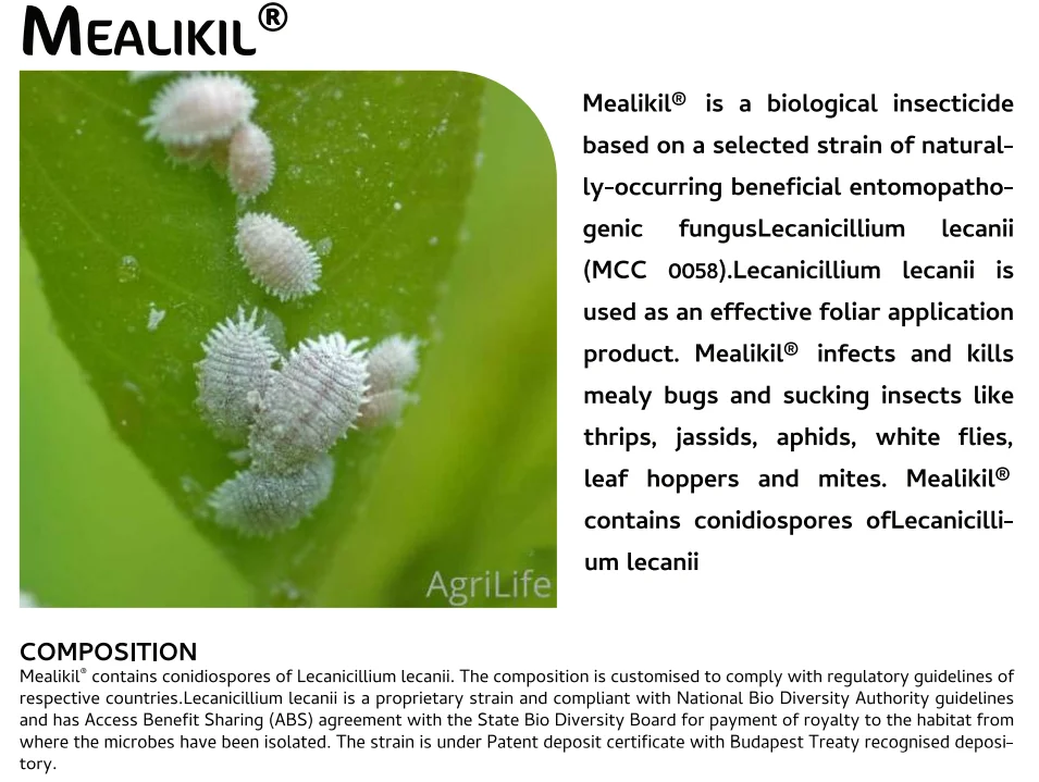 Screenshot (1072).png