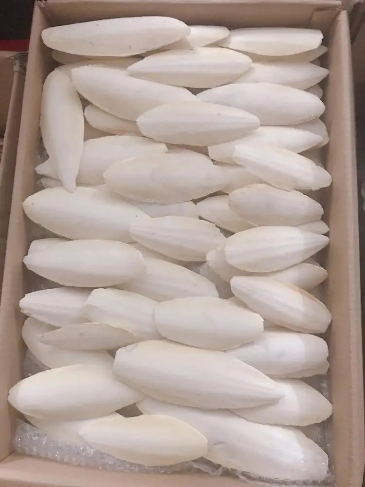 Корм для рыбы, рыбы, кости, попугаи, птицы, рептилии, корм, корм для черепахи (WS: 0084987731263)