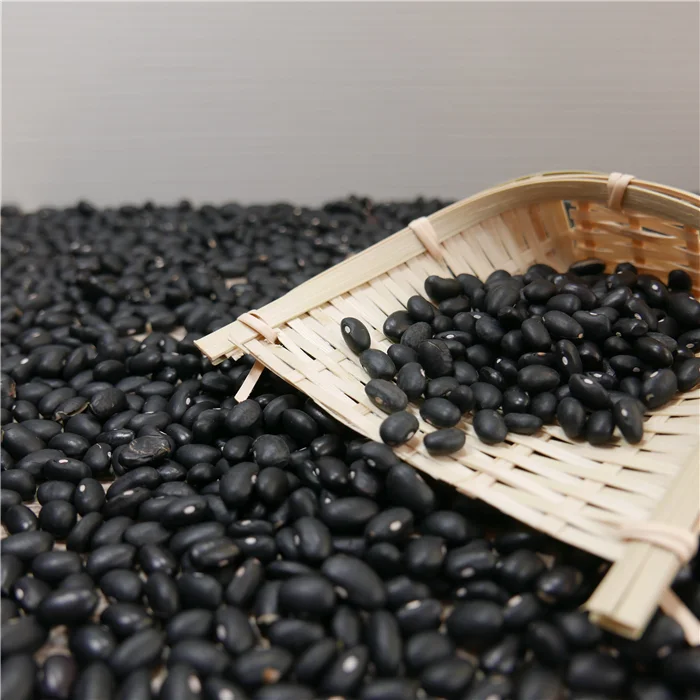
2021 new crop black beans for sale 