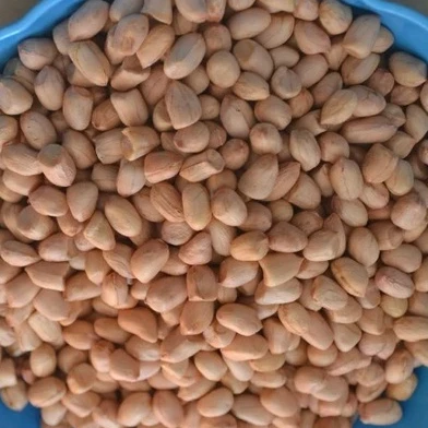 pink skin groundnut java 60 70 count best buy offer super fine peanut