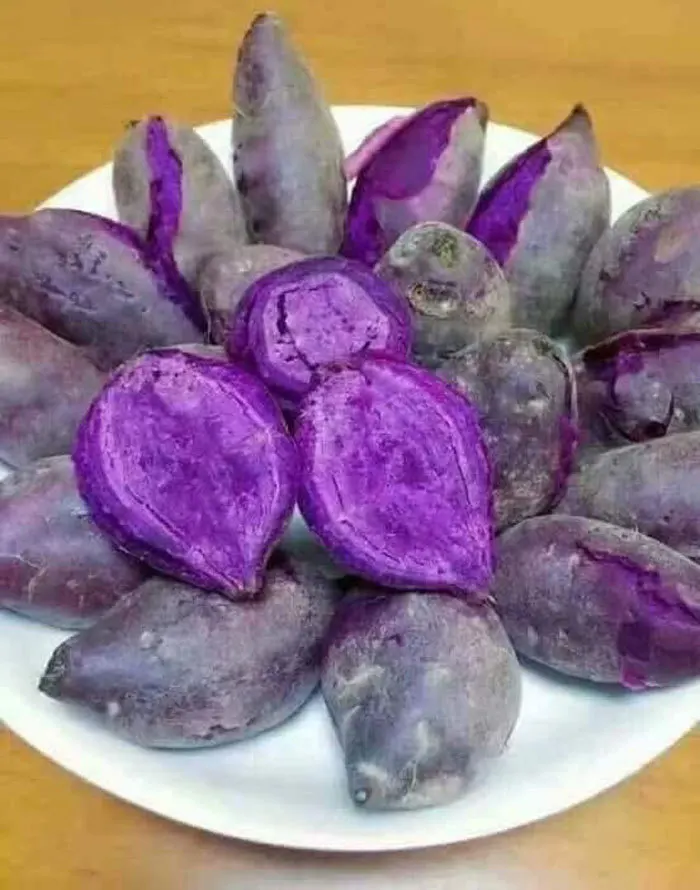  Лидер продаж экспорт сладкого картофеля // японский сладкий картофель YAM из Вьетнама для оптовой продажи только $1/ Ms Sofia + 84 789946878