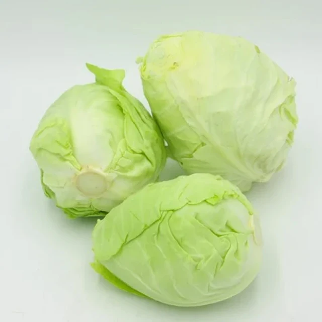 Fresh cabbage, Vietnam cabbage, Green cabbage / Wholesale with high quality