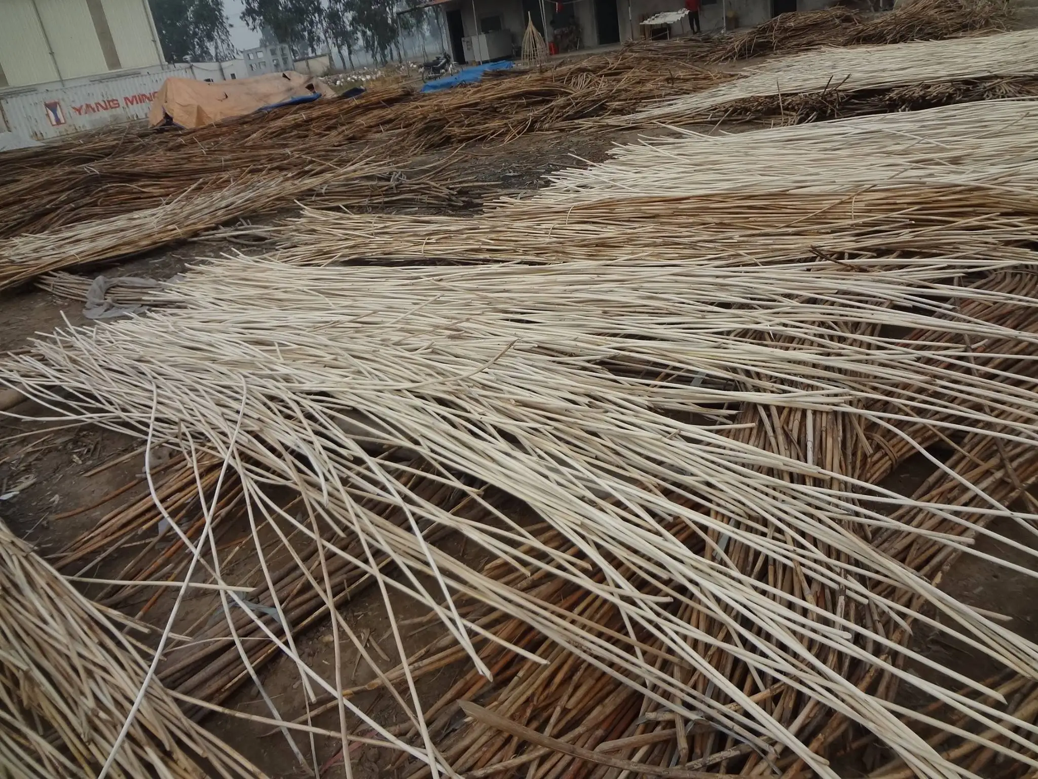 Raw Material Rattan Core 3mm With Natural Color For Making Furniture +84947900124