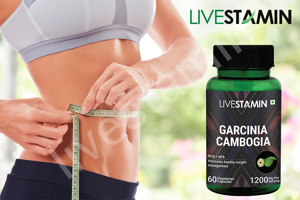 Garcinia Cambogia Herbal Extract 60 % HCA For Weight Loss Slimming Capsules Appetite Suppressant Private Label GMP ISO