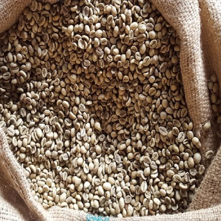  Лучшая-SW18 Вьетнам кофе Робуста лучшая продажа робуста зеленые кофейные зерна greattwo