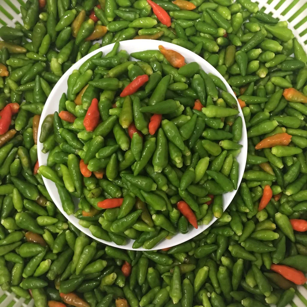 SUPER SPICE FRESH BIRD EYE CHILI WITH PREMIUM VIETNAM
