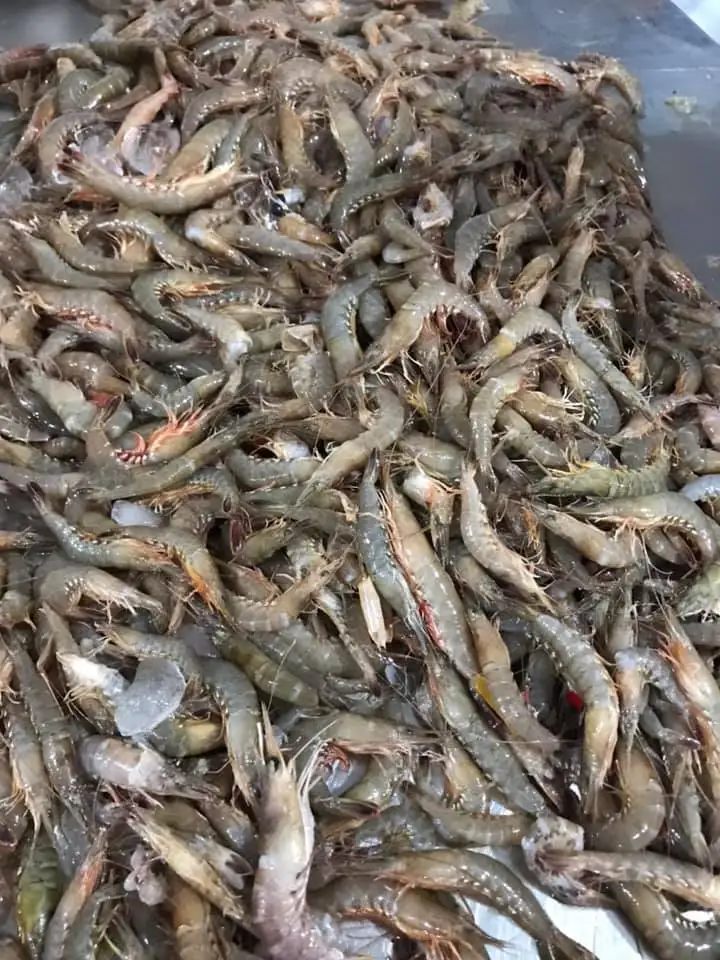 High Quality Raw Fresh Natural Seafood Skinless Food Air-Dried Body Peeled Shrimp For Cook From Private Label In Vietnam