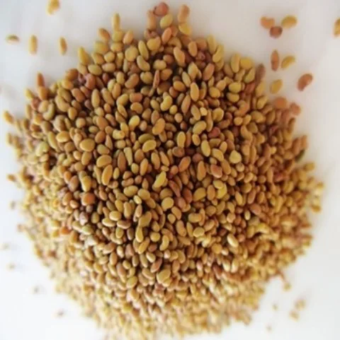
Organic Alfalfa Sprouting Seeds/Alfalfa Seed,Mustard Seeds 