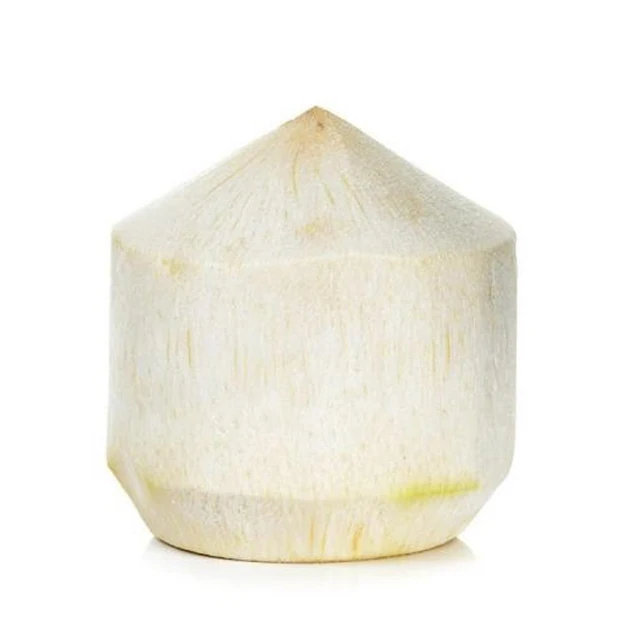 Fresh Super Delicious Taste Premium Quality Coconut - Whole Fruit Export