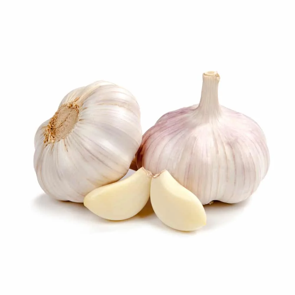 
Fresh peeled garlic from Vietnam wholesale bulk supplier 
