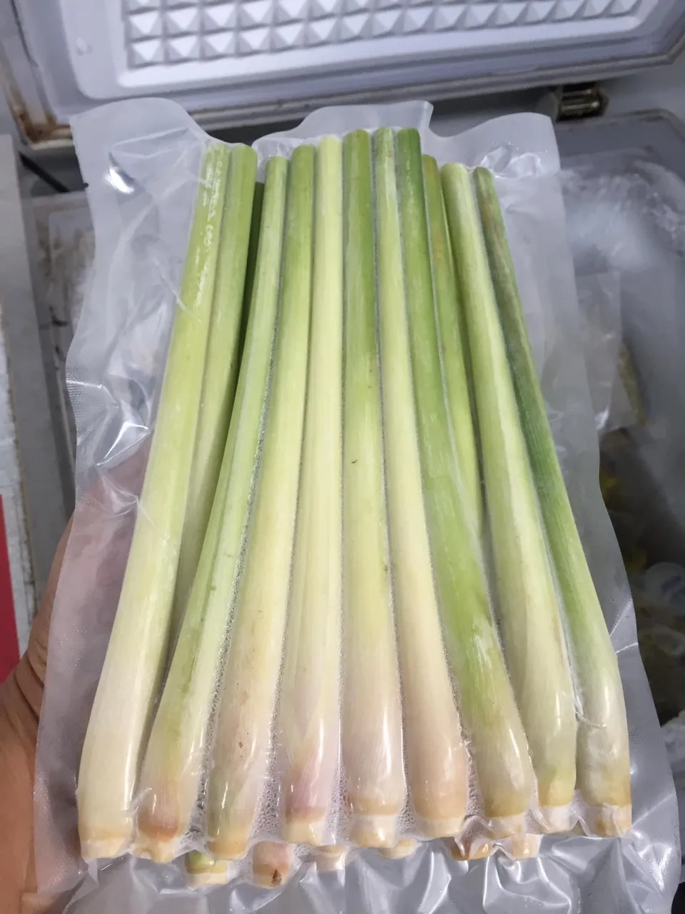 TW6 Brand Hot sale Fresh Lemon Grass  Light  Green Color Single Spices & Herbs  From Vietnam for Export