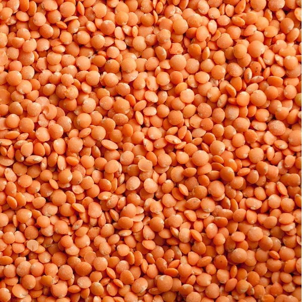 Best Quality Green Lentils | Red Lentils | Brown Lentils