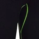  Костюм-сауна для похудения и фитнеса