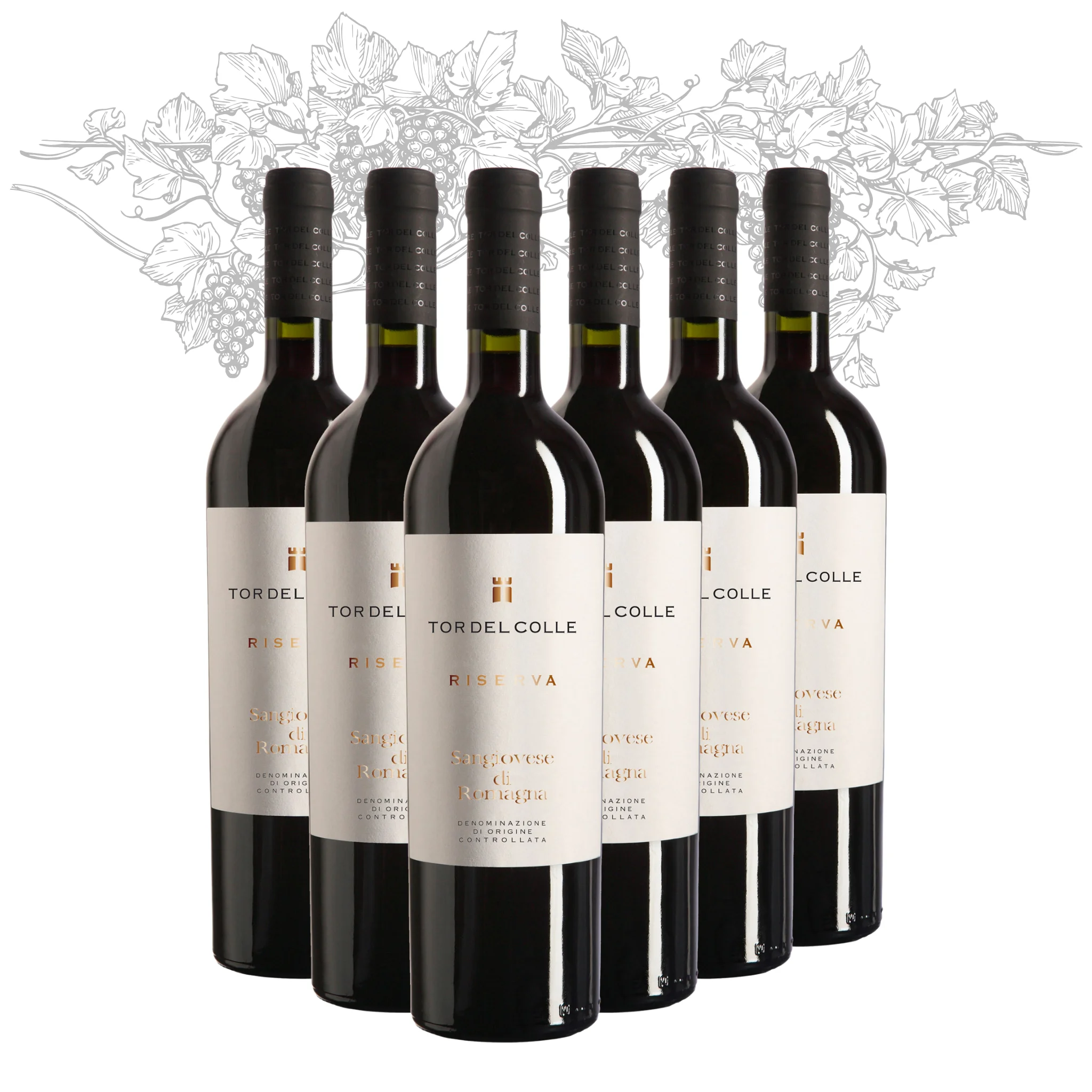Premium Italian Red Wine - Sangiovese di Romagna DOC RISERVA - bottles 750 ml alcohol 13% for export