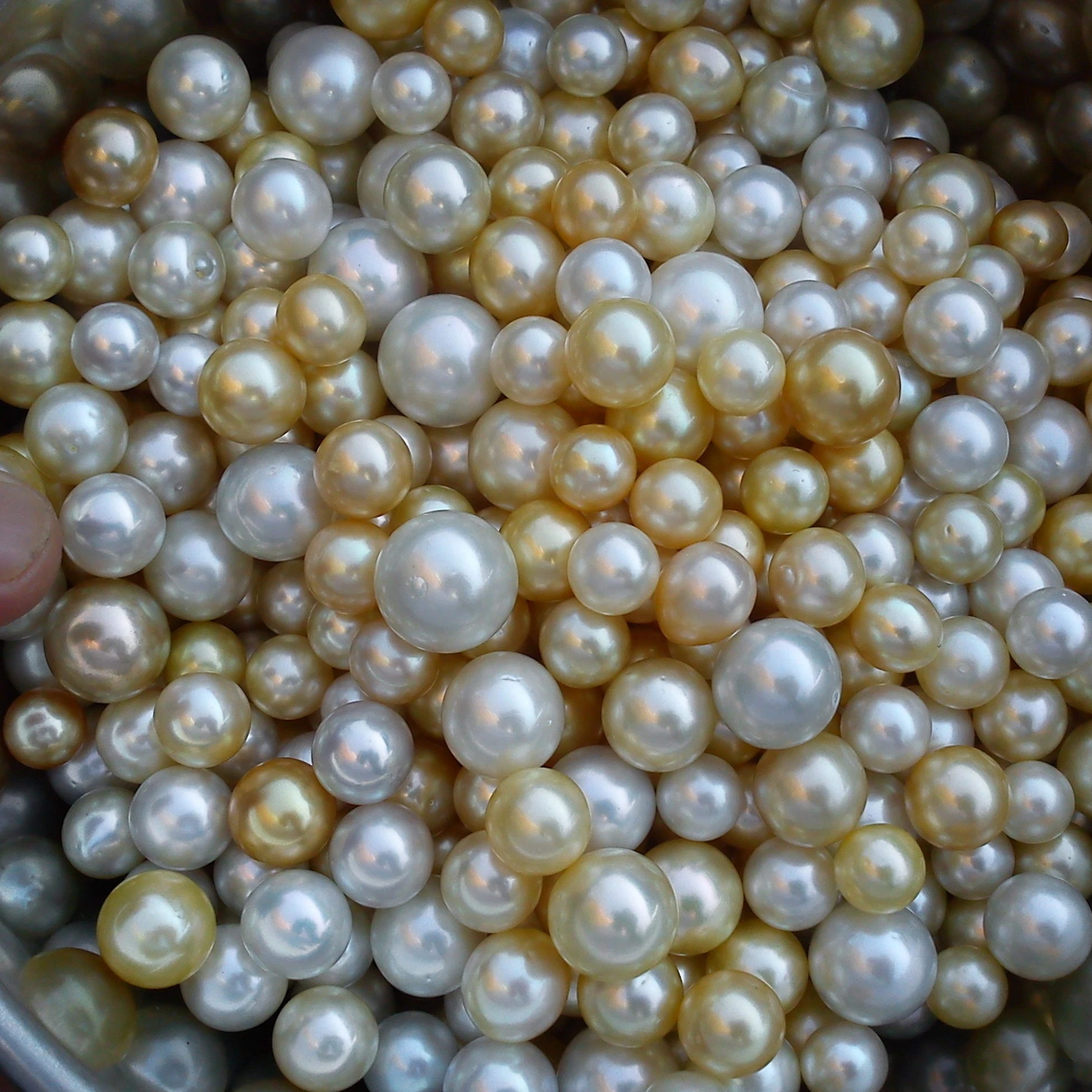 
Свободный жемчуг южного моря 