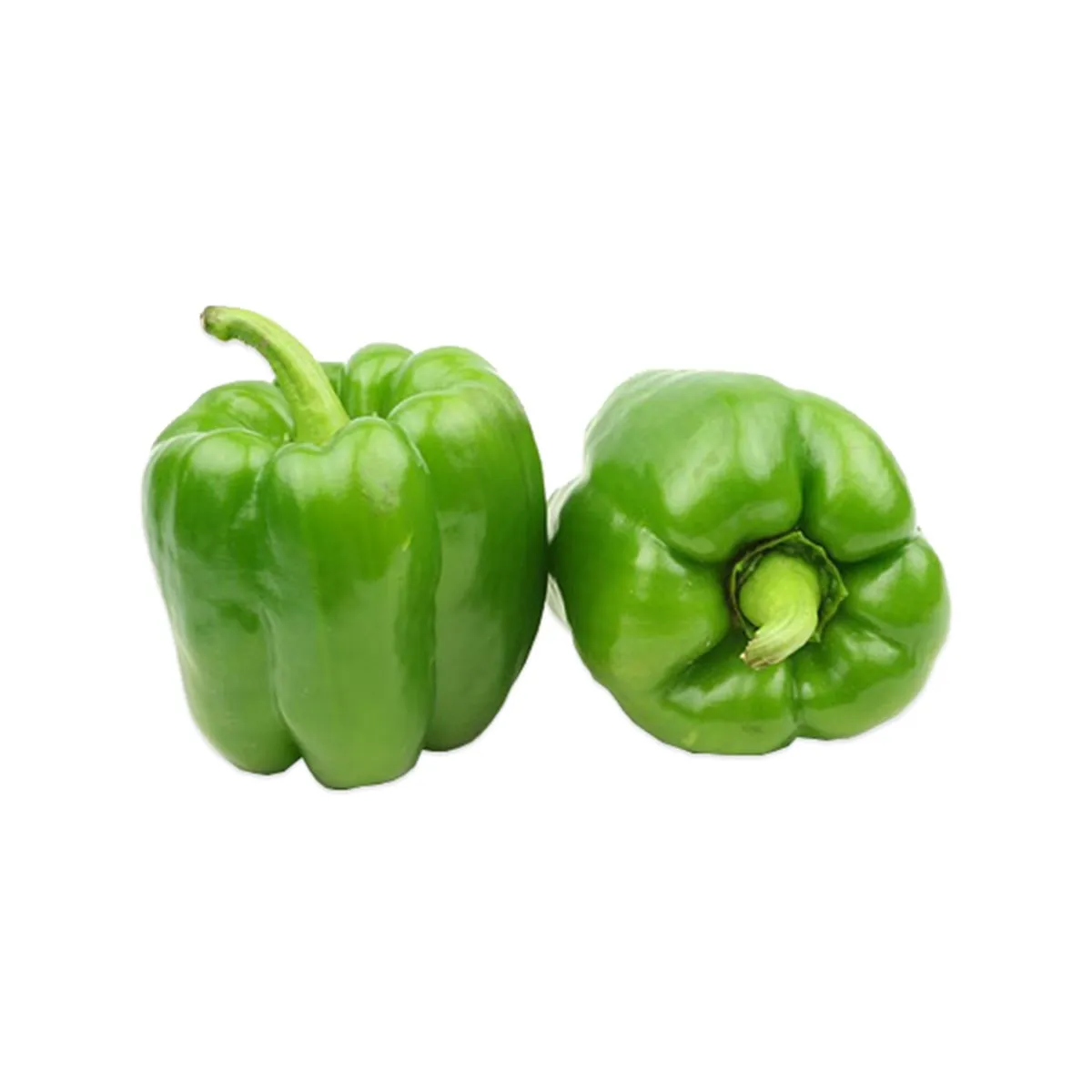 
ORGANIC FRESH BELL PEPPER FROM TURKEY - GREEN BELL PEPPER - HIGH QUALITY 