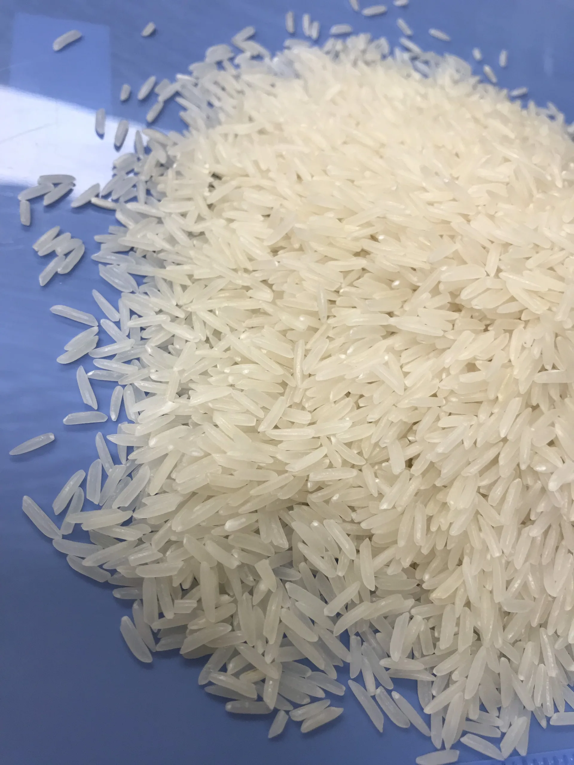 Вьетнамские экспортеры риса новый урожай сломанный 5% 25 кг полипропиленовый пакет мягкая текстура длинное зерно сушеный стиль ST24 рис