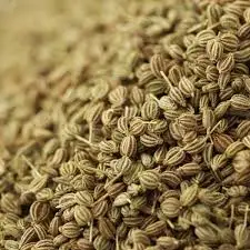 Premium Quality Organic Celery Seed Oil For Soothing Digestive Issues Fully Pure Oils Wholesale Suppliers