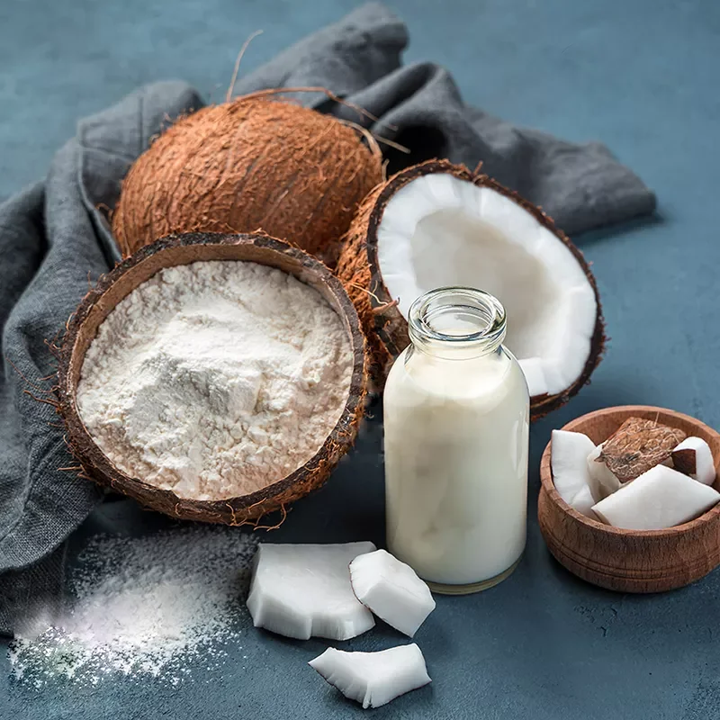 High Quality Pure Coconut Powder Wholesale Instant Coconut Milk Powder From Vietnam Coconut Brand Vietnam Post