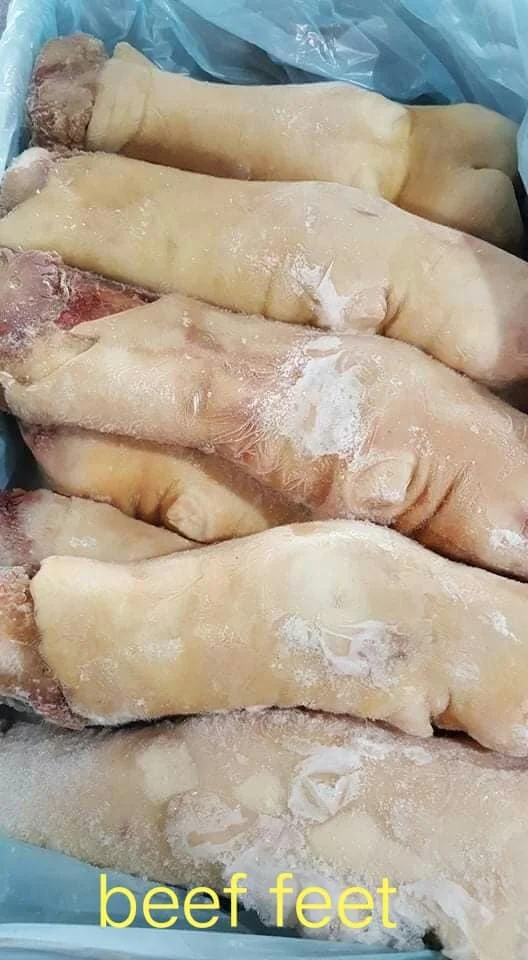 
Best Quality Frozen Beef Feet / Cow Legs For Sale at Wholesale Price 