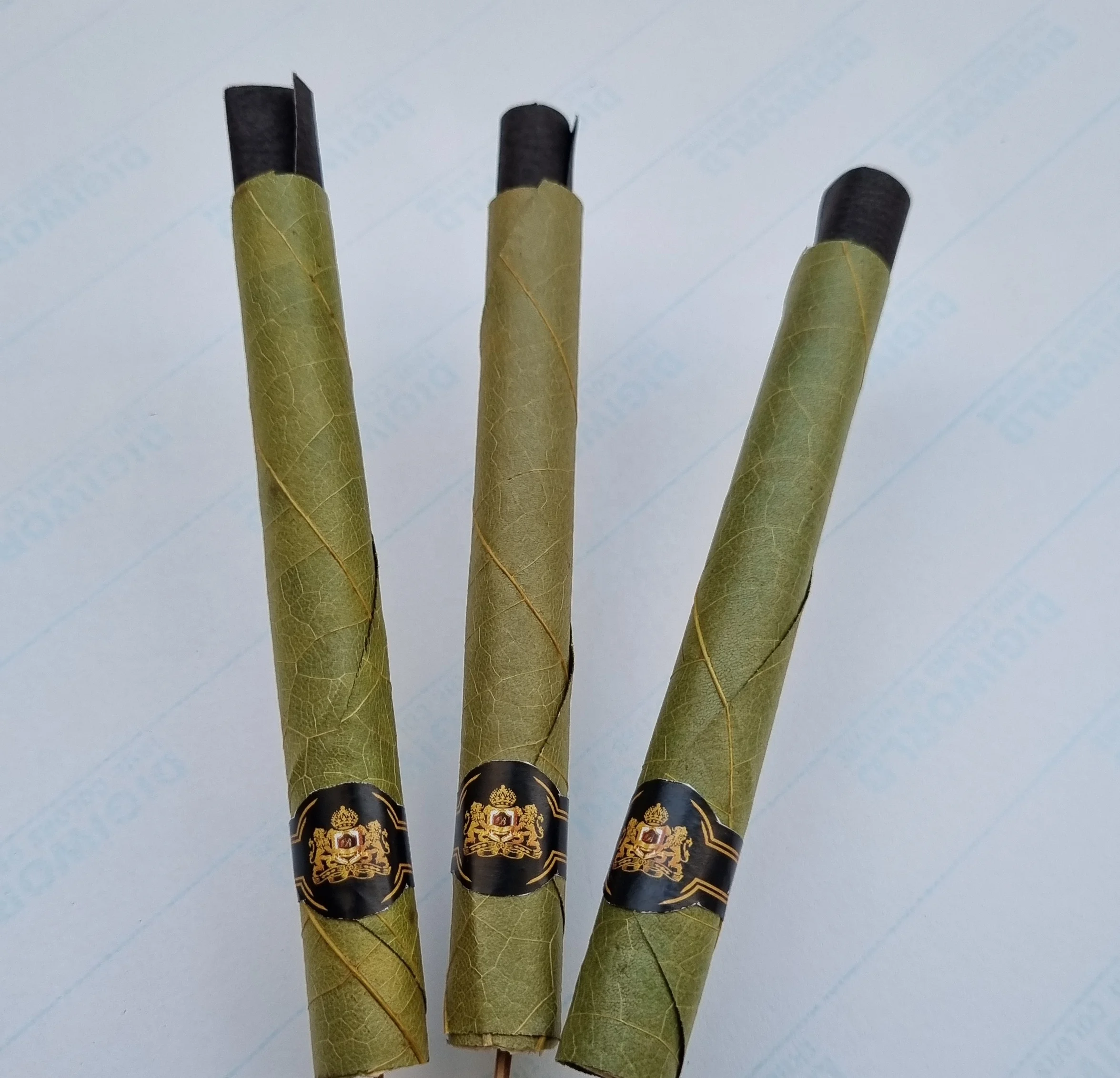 Зеленые и свежие предварительно свернутые листья и конусы cordia и tendu OEM предварительно свернутые листья cordia и tendu наконечники фильтра кукурузной шелухи оптом