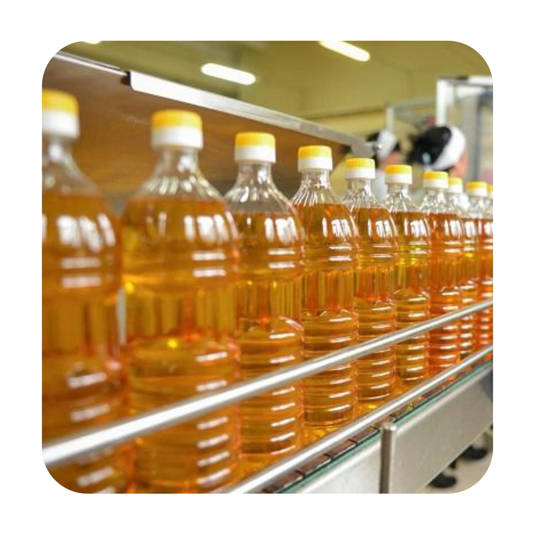 
Great quality bottled sunflower oil 1/3/5 liter bottles, product of Russia 