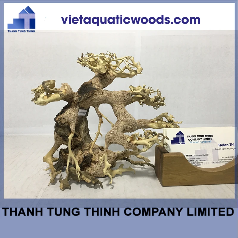  Аквариум Driftwood естественный WhatsApp: + 84 963 949