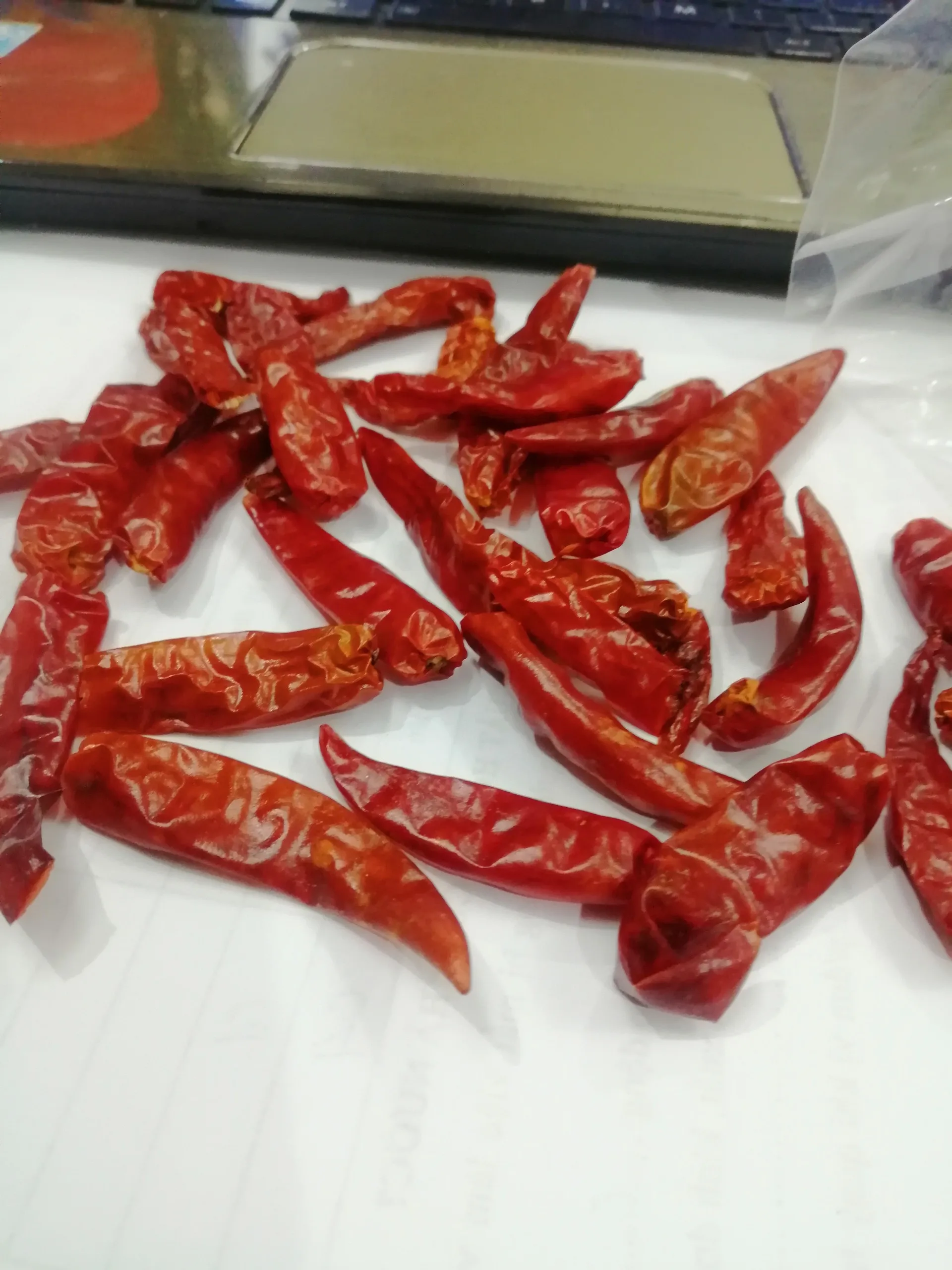 Dried small Chilli from vietnam  best quality cll +84984418844 w