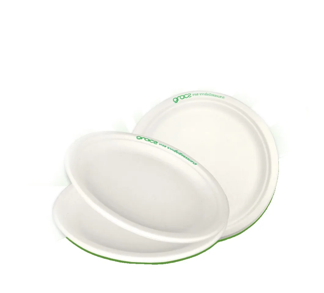
Gracz Classic& Simple P005 Three-Compartment Plate 10 inches eco friendly dishes & plates food containers Thailand 