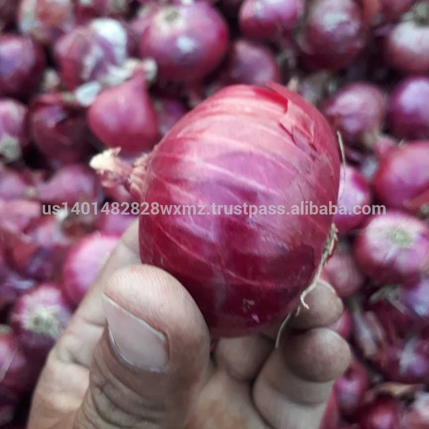 
MANUAL FARM QUIPMENTS FOR FARMERS ONION SEEDS PLANT CUTTER MACHINE 