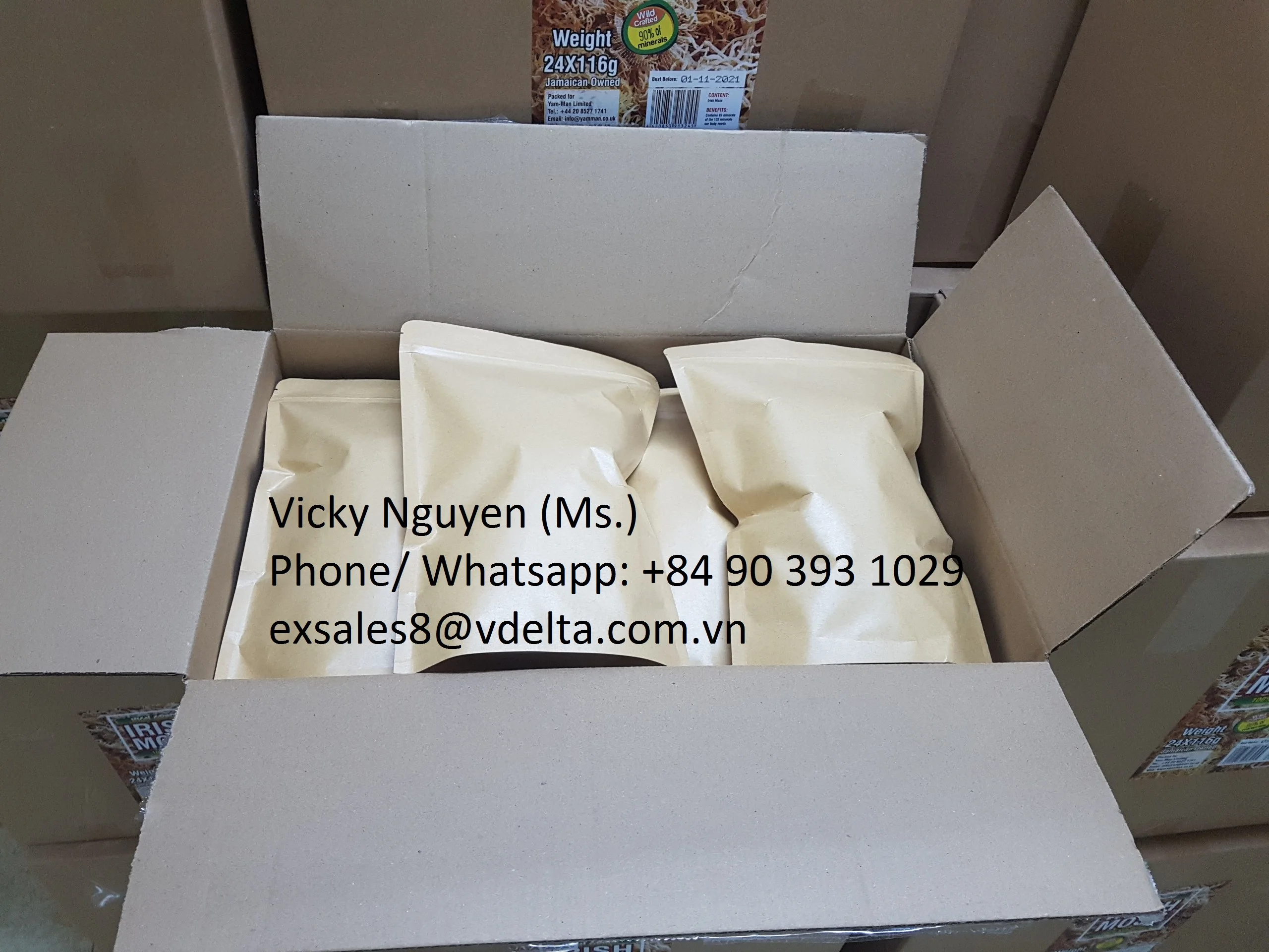 Сушеный солнцем Золотой Мох высокого класса конкурентоспособная цена/VICKY + 84 90 393 1029 (WHATSAPP)