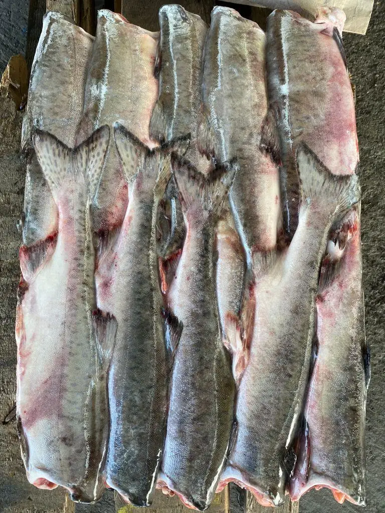 Розовый лосось 1/22 Свежезамороженная Высококачественная рыба лосося оптом от производителя оптовая цена на экспорт