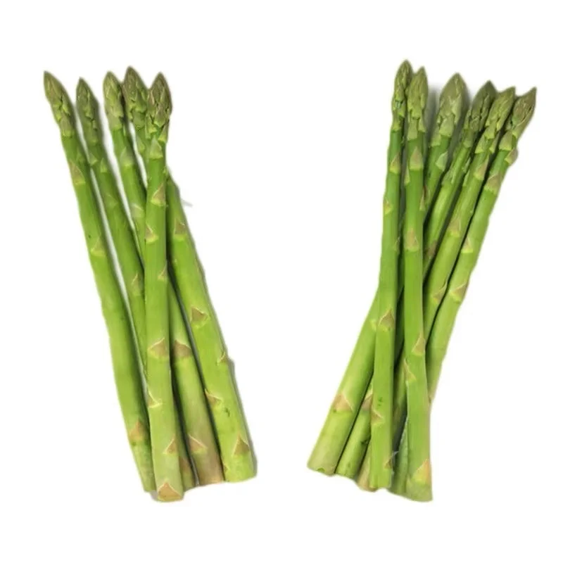FRESH ASPARAGUS VIETNAM ORIGIN WITH CHEAP PRICE - MS. ELAINE +84 375 431 541