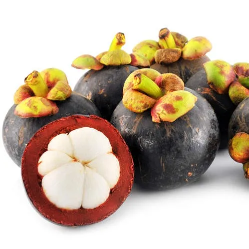 Mangosteen Fruit The top recommend - Fresh Fruit Viet Nam High Grade