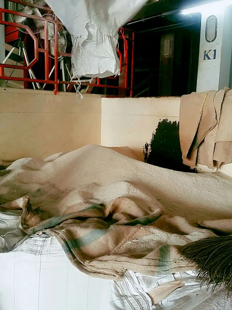 Thai White Rice 100% Grade B Origin Thailand