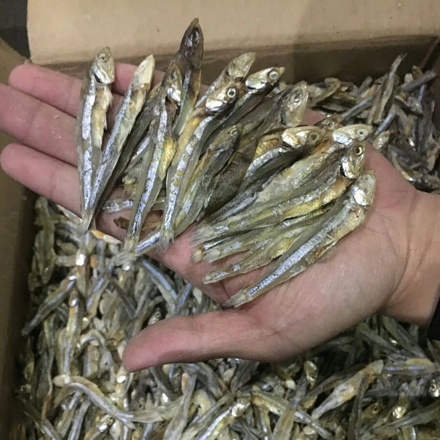 
Dried Sprat Anchovy / 100% Sun Dried Sprat / Boiled Anchovy Sprats 