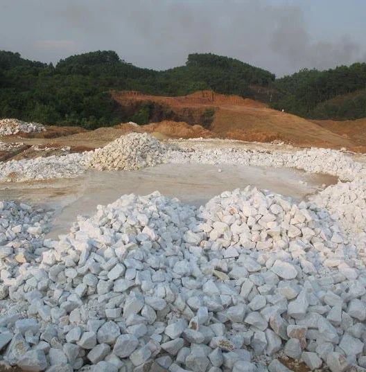Powder Manufactures  Powder Manufactures Direct Supply Calcium Carbonate CaCo3 made in Vietnam