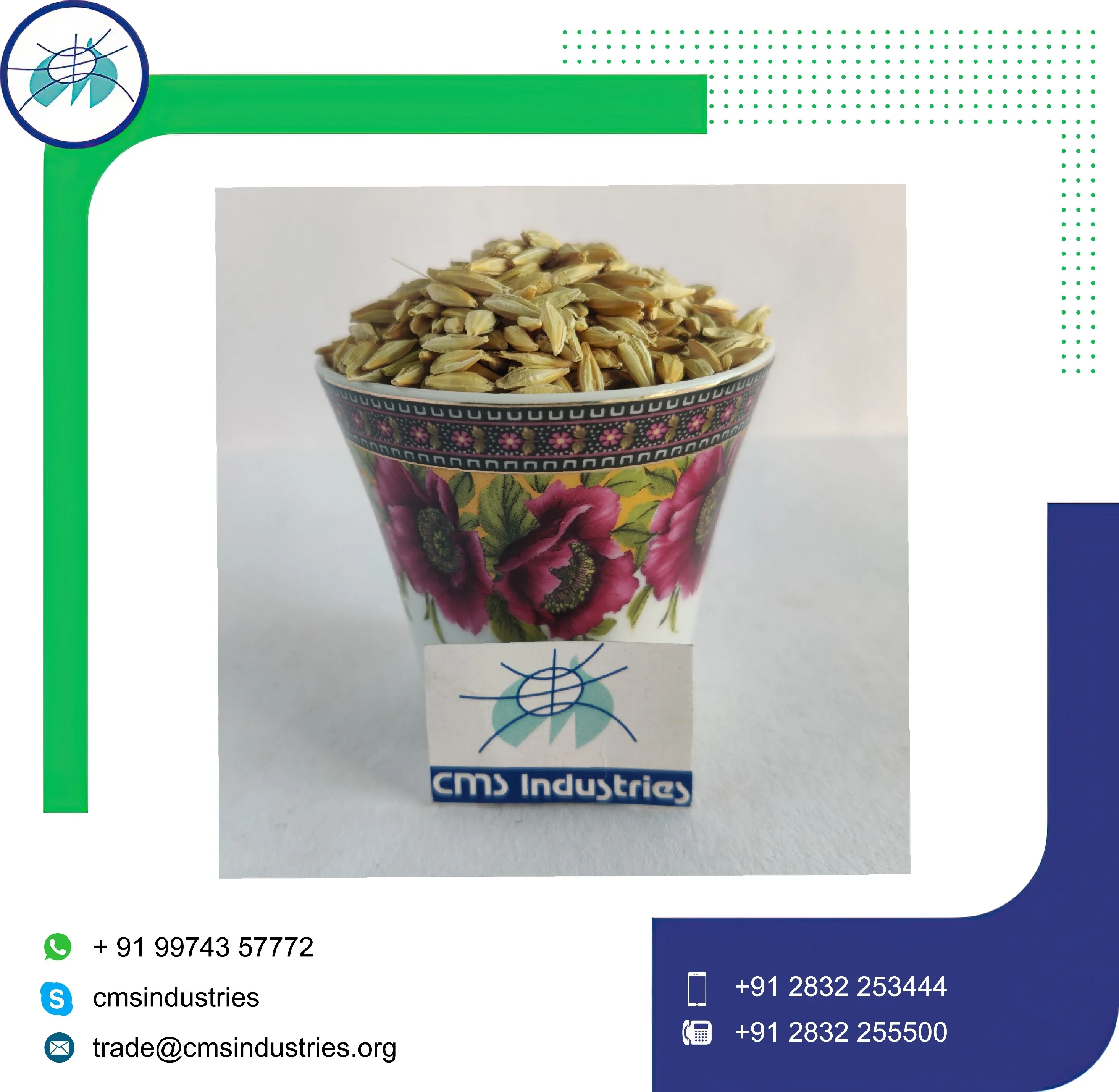 Natural Dried Barley