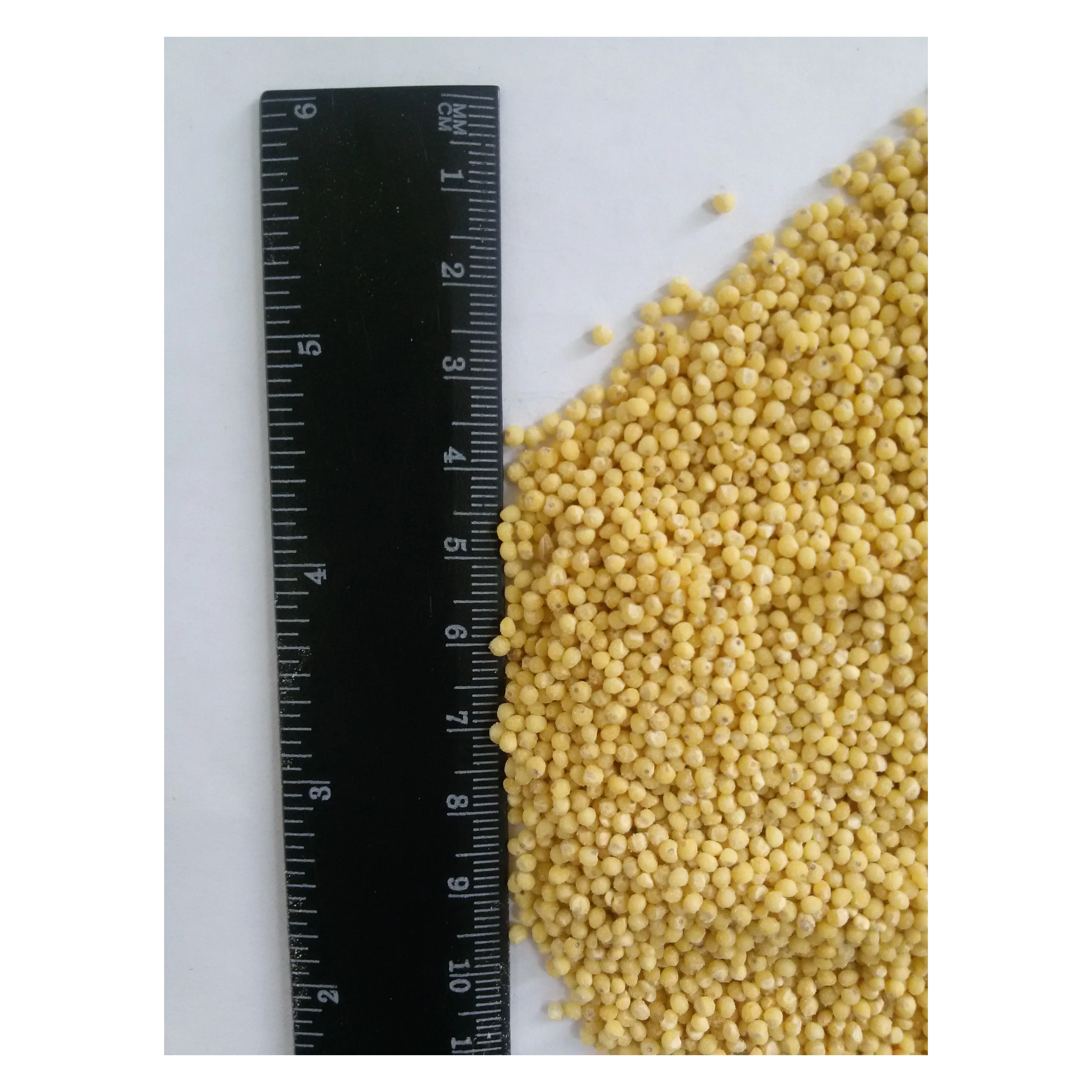 
Natural barley pearl for human consumption big bags packing 