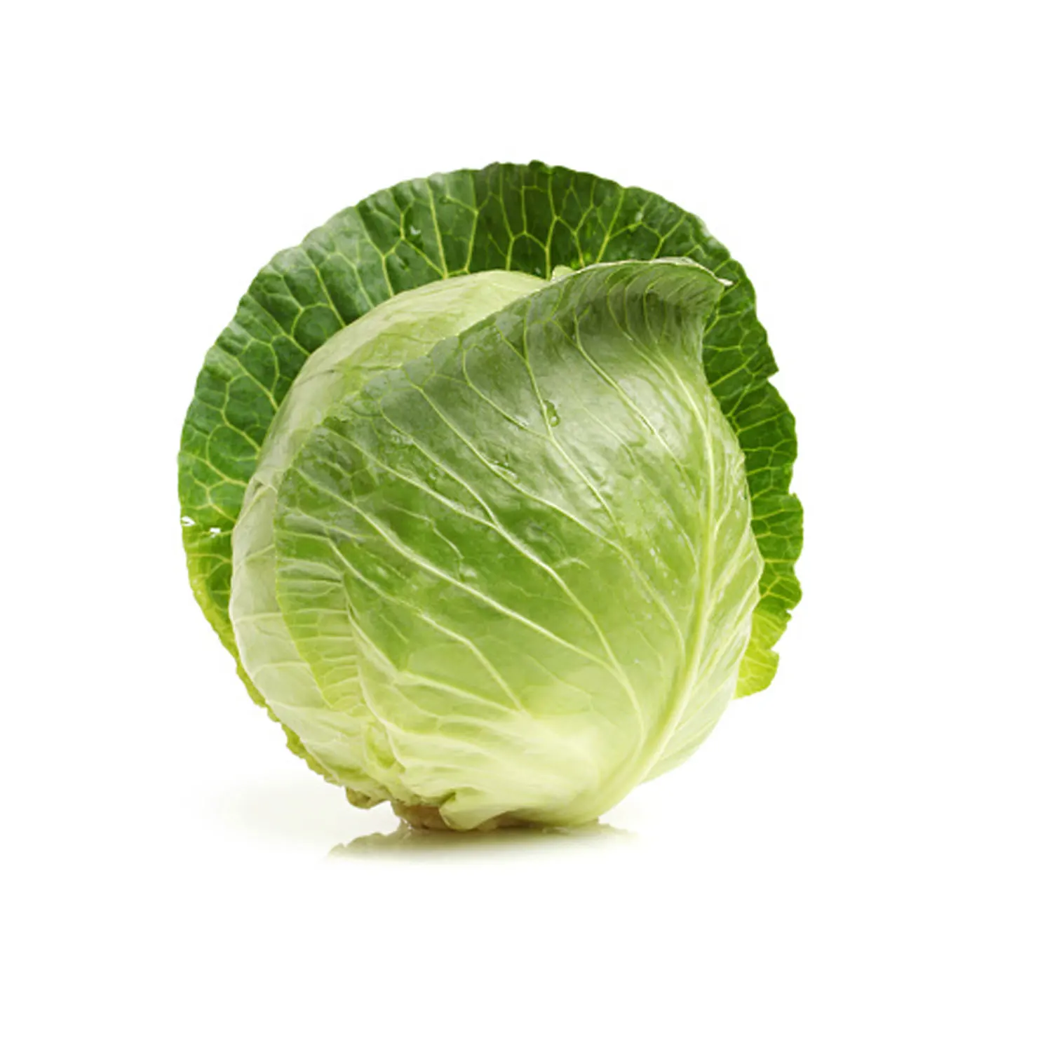 Свежая Зеленая капуста по низкой цене